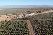 PyME riojana exportará aceite de oliva al Reino de Bután