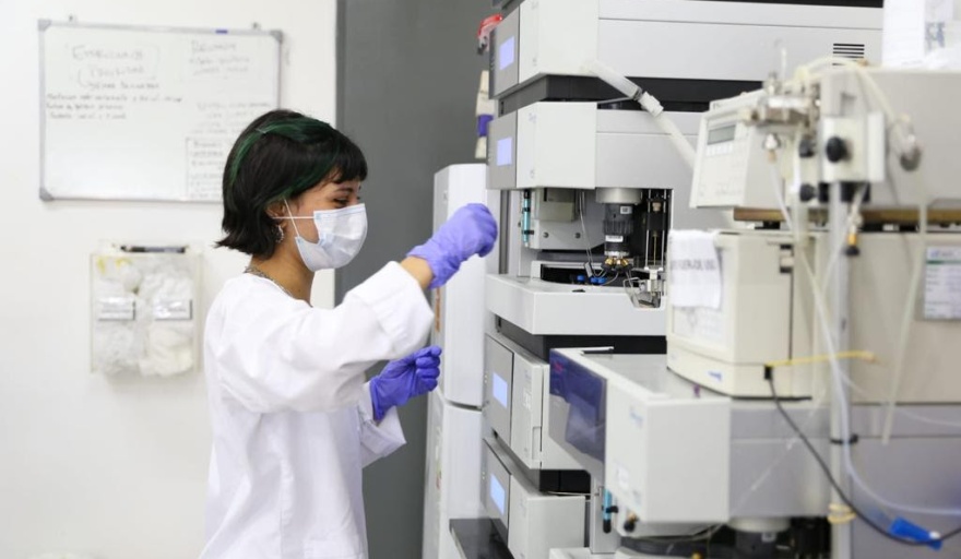 Destinan 210 millones de pesos para apoyar a PyMEs y cooperativas que desarrollen proyectos con enfoque de género