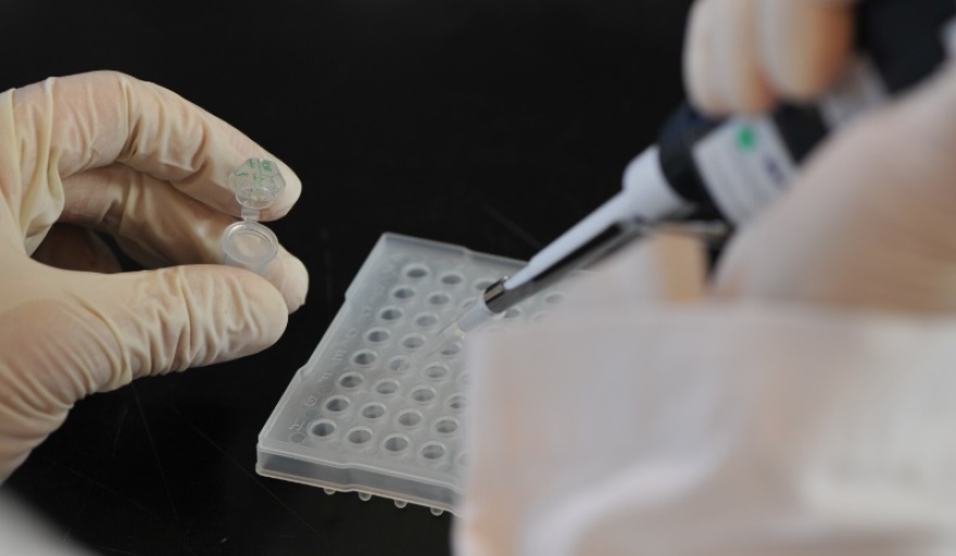 El proyecto de Ley de Nanobiotecnología obtuvo dictamen en Diputados