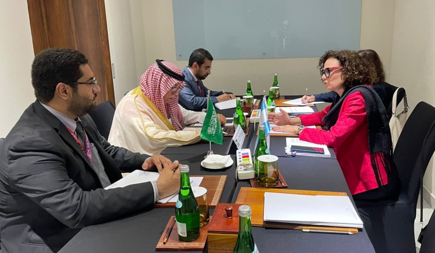 Todesca Bocco avanza con Arabia Saudita en una agenda de más inversión y comercio para el 2023