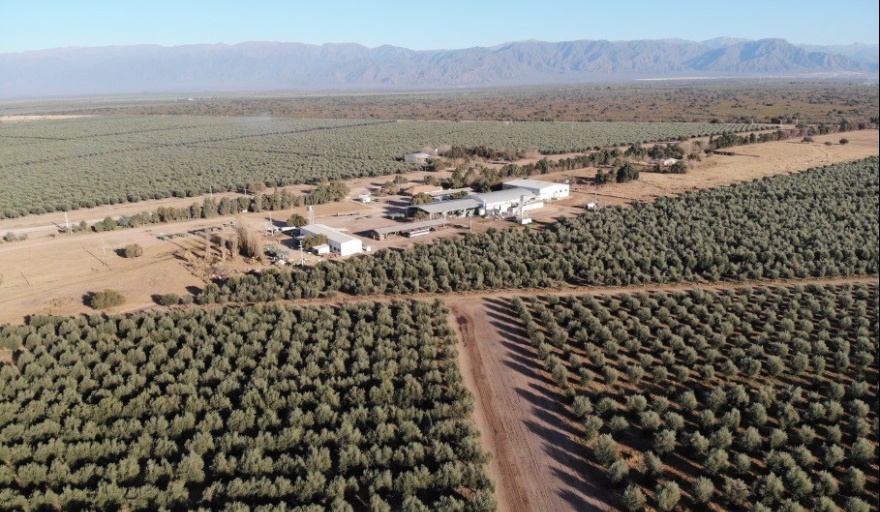 PyME riojana exportará aceite de oliva al Reino de Bután