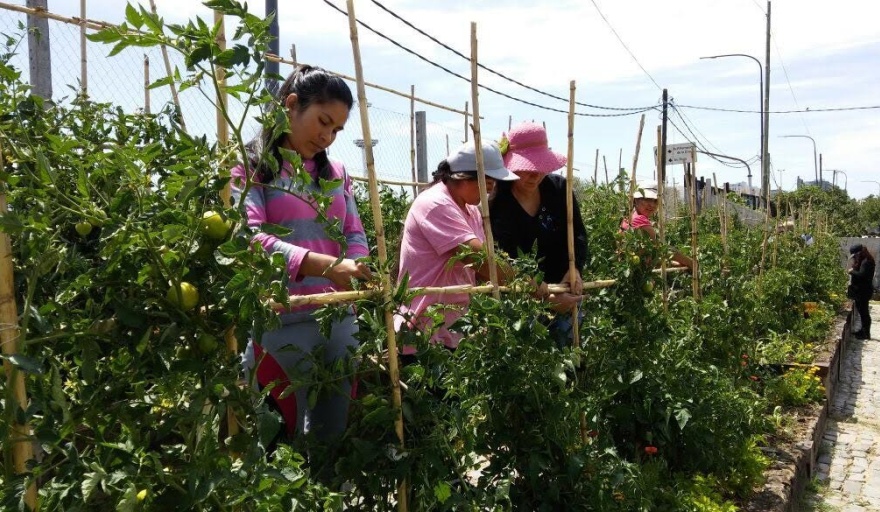“Yo Emprendedora”: un ciclo de capacitaciones en oficios para beneficiarias de Inclusión