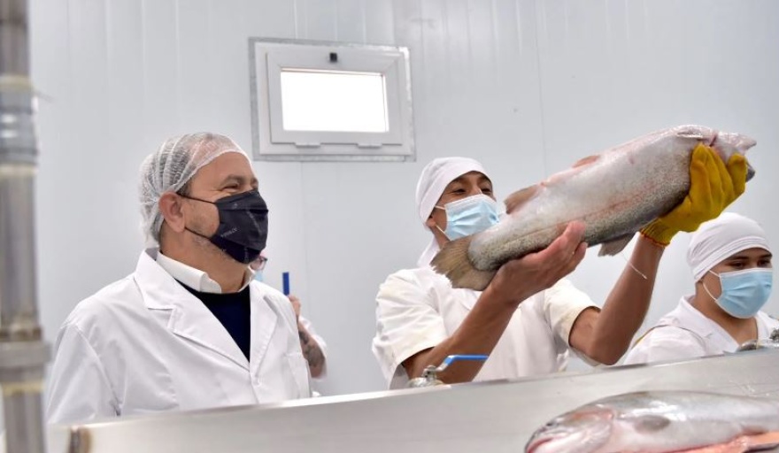 Por primera vez: Exportan trucha arcoíris desde Neuquén a Estados Unidos