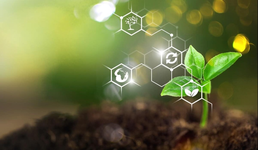 Agricultura aprobó proyectos de bioinsumos para pymes por más de $336 millones