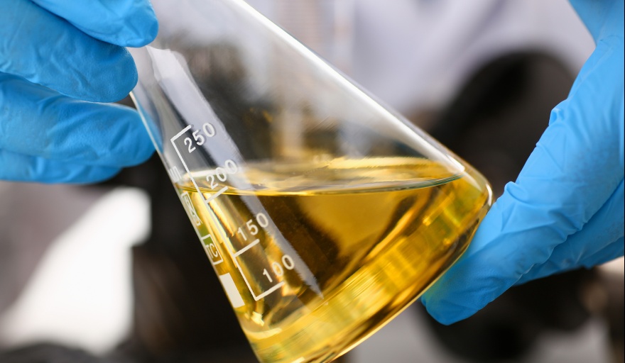 PyMEs de biodiesel en alerta por posible paralización del sector
