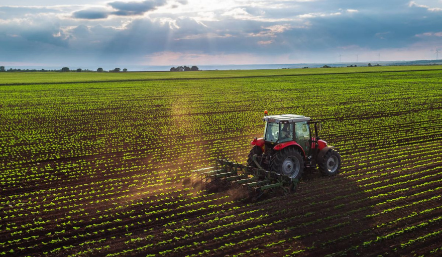 "La baja de retenciones generará mayor producción": reacción de cámaras agroexportadoras al anuncio de Milei
