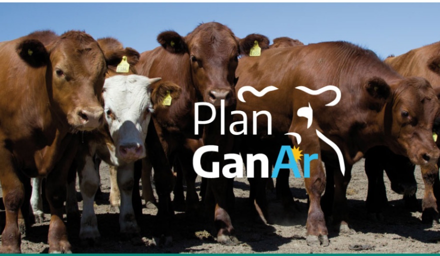 El gobierno quiere aumentar la producción de carne en 600 mil toneladas