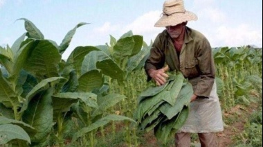 Preocupación en Santa Fe por el posible cierre de PyMEs tabacaleras