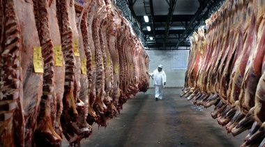 Se prorrogó el troceo de carne por 75 días a pedido de las provincias