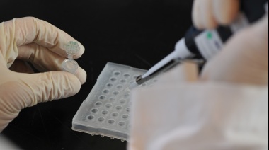 El proyecto de Ley de Nanobiotecnología obtuvo dictamen en Diputados