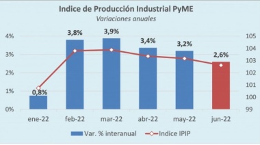 La actividad de la industria pyme creció en junio 2,6% interanual