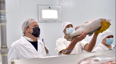 Por primera vez: Exportan trucha arcoíris desde Neuquén a Estados Unidos