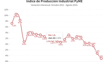 Contracción anual del 5 por ciento de la industria PyME